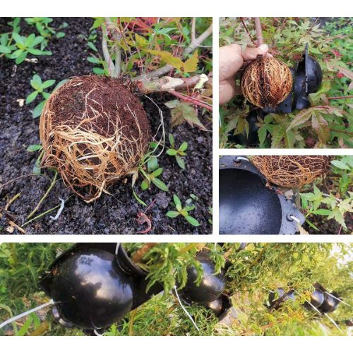 10x Plant Rooting Ball